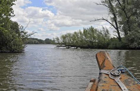 Fluistervaren en Broekwandelen 2024